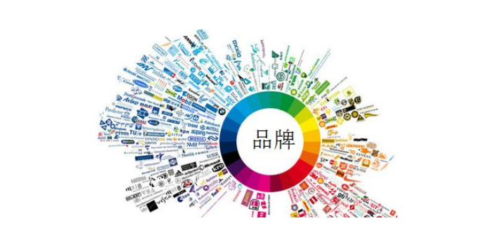 高效布局，智慧传播——你的专属广告发布策略